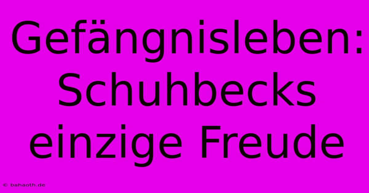 Gefängnisleben: Schuhbecks Einzige Freude