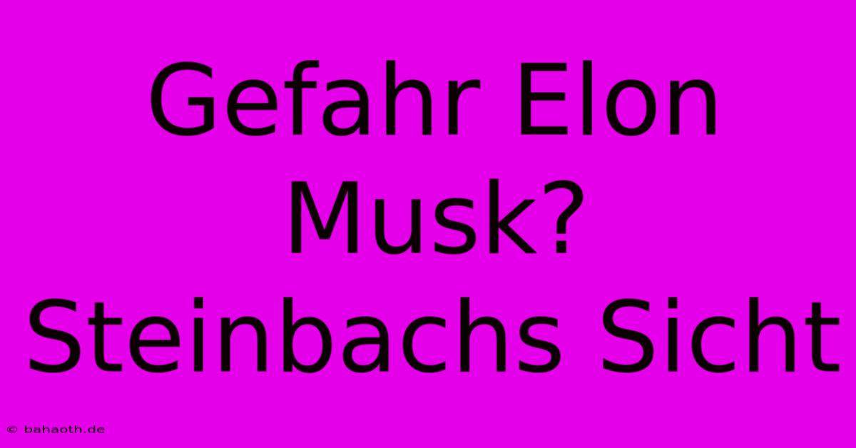 Gefahr Elon Musk? Steinbachs Sicht