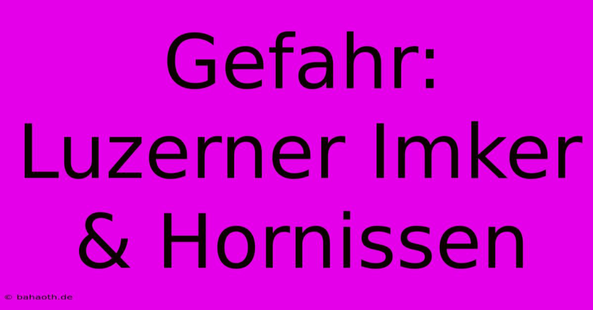 Gefahr: Luzerner Imker & Hornissen