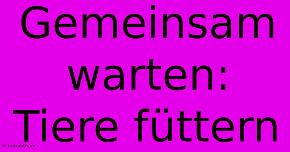 Gemeinsam Warten: Tiere Füttern