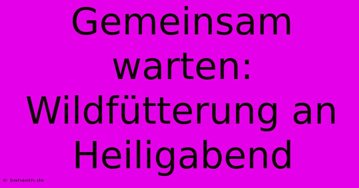 Gemeinsam Warten: Wildfütterung An Heiligabend