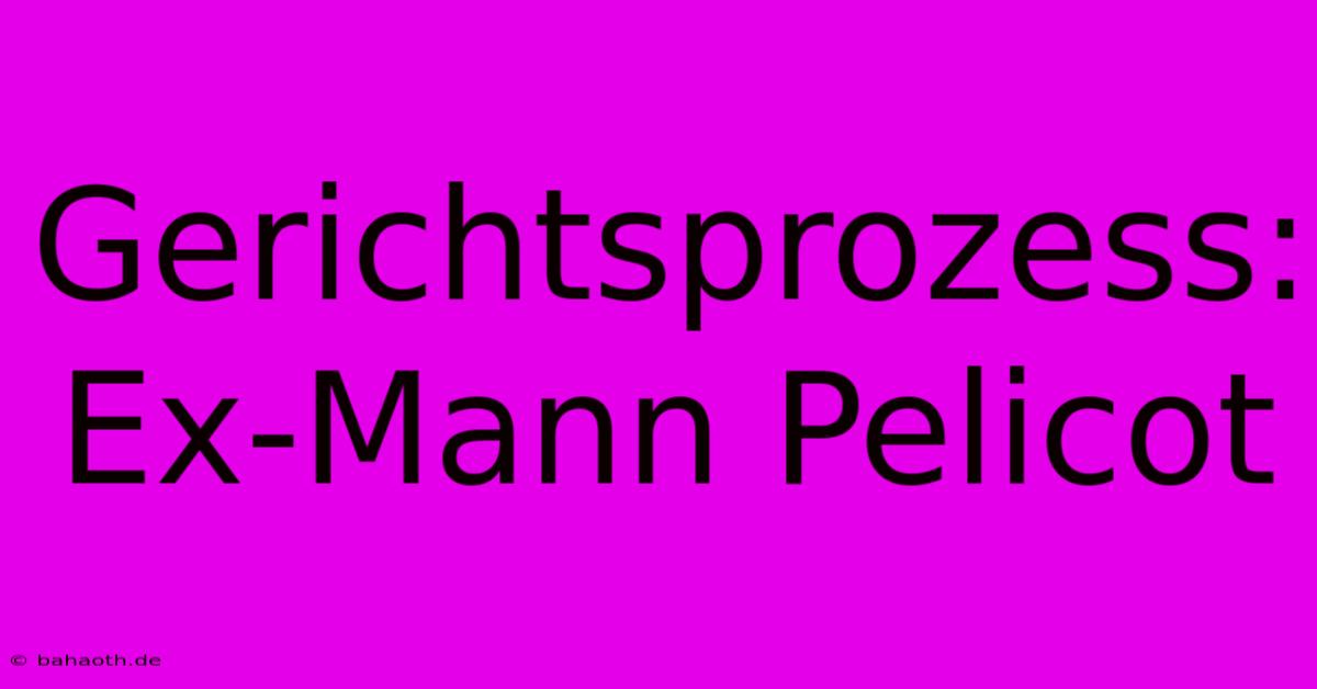 Gerichtsprozess: Ex-Mann Pelicot