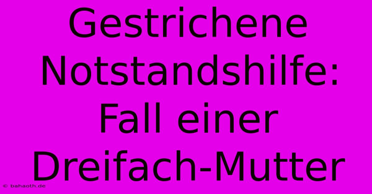 Gestrichene Notstandshilfe: Fall Einer Dreifach-Mutter