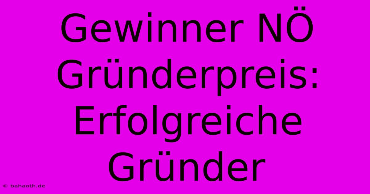 Gewinner NÖ Gründerpreis:  Erfolgreiche Gründer