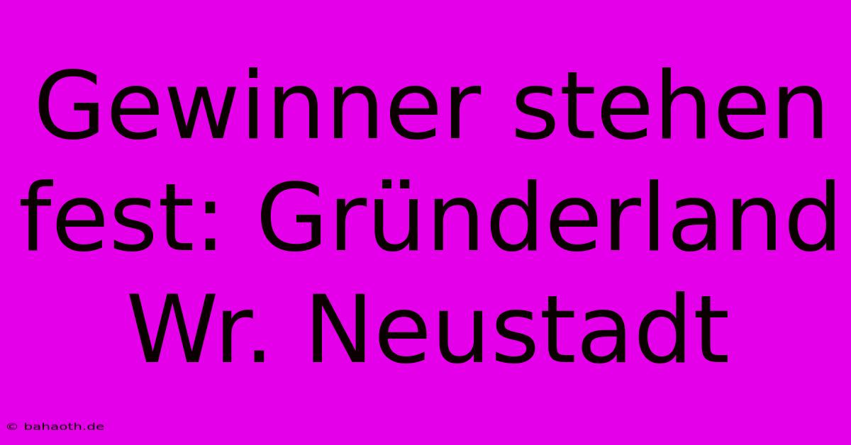 Gewinner Stehen Fest: Gründerland Wr. Neustadt