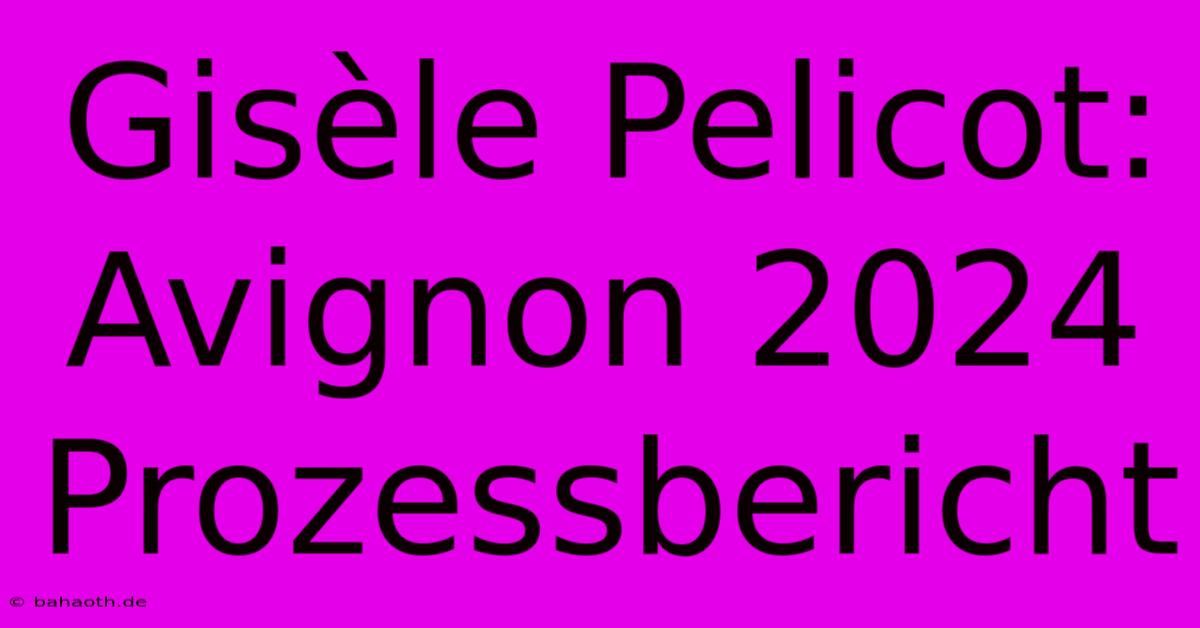 Gisèle Pelicot:  Avignon 2024 Prozessbericht