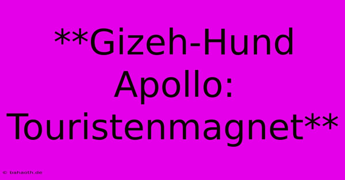 **Gizeh-Hund Apollo: Touristenmagnet**