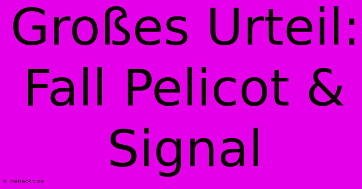 Großes Urteil: Fall Pelicot & Signal