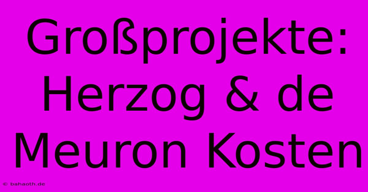 Großprojekte: Herzog & De Meuron Kosten