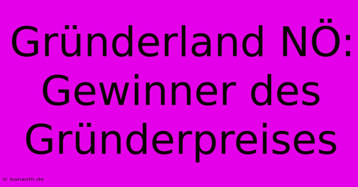 Gründerland NÖ: Gewinner Des Gründerpreises