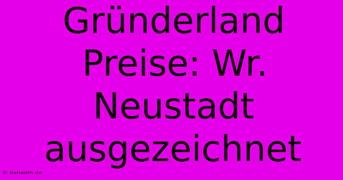 Gründerland Preise: Wr. Neustadt Ausgezeichnet