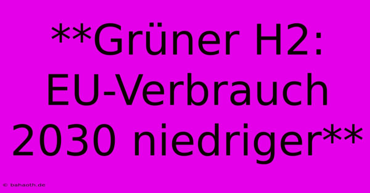 **Grüner H2: EU-Verbrauch 2030 Niedriger**