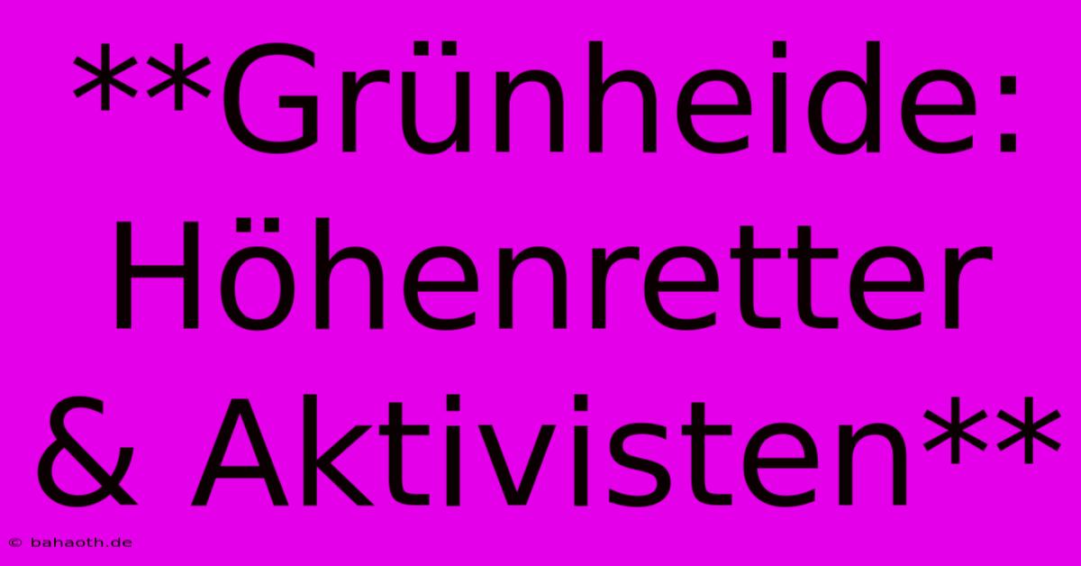 **Grünheide: Höhenretter & Aktivisten**