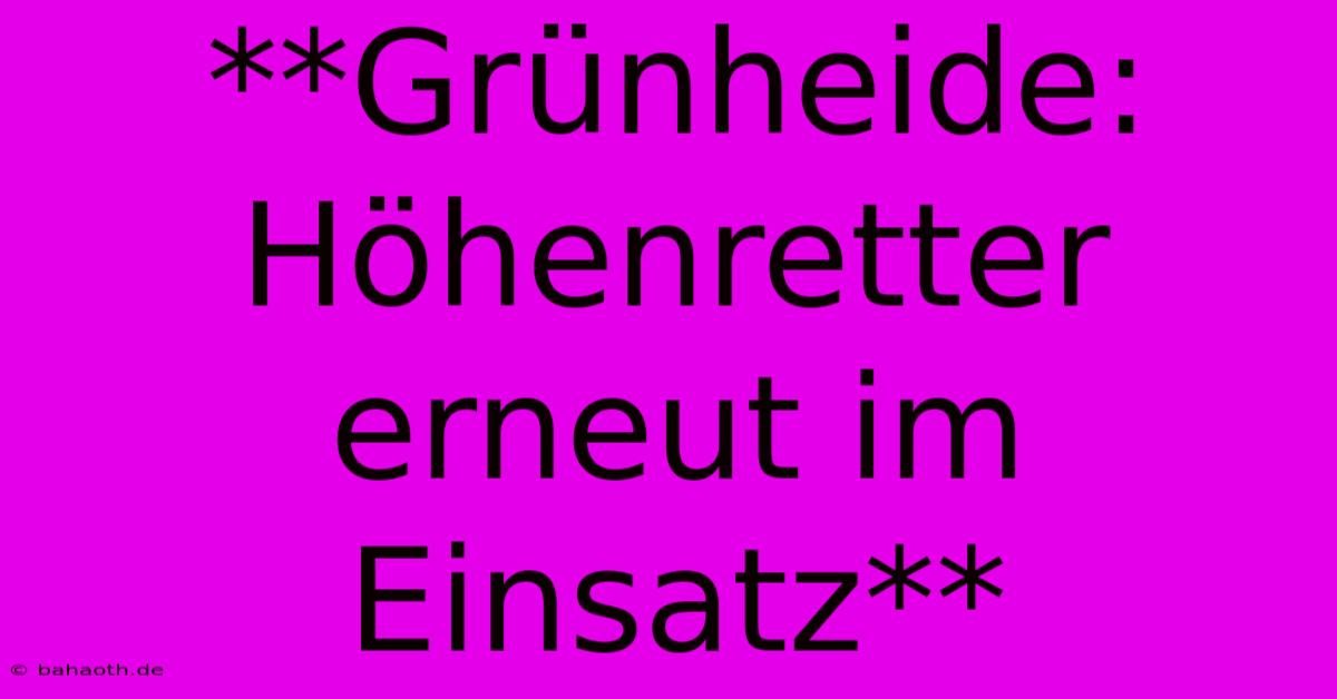 **Grünheide: Höhenretter Erneut Im Einsatz**