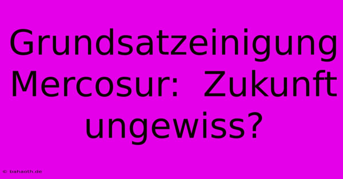 Grundsatzeinigung Mercosur:  Zukunft Ungewiss?