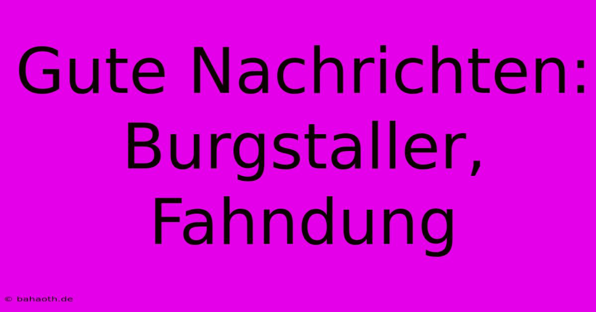 Gute Nachrichten: Burgstaller, Fahndung