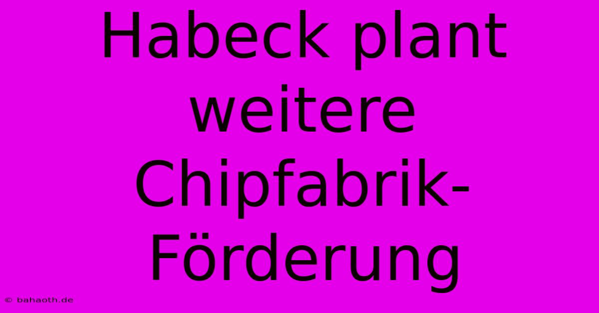 Habeck Plant Weitere Chipfabrik-Förderung