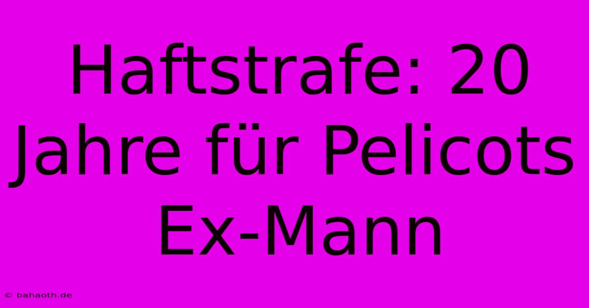 Haftstrafe: 20 Jahre Für Pelicots Ex-Mann