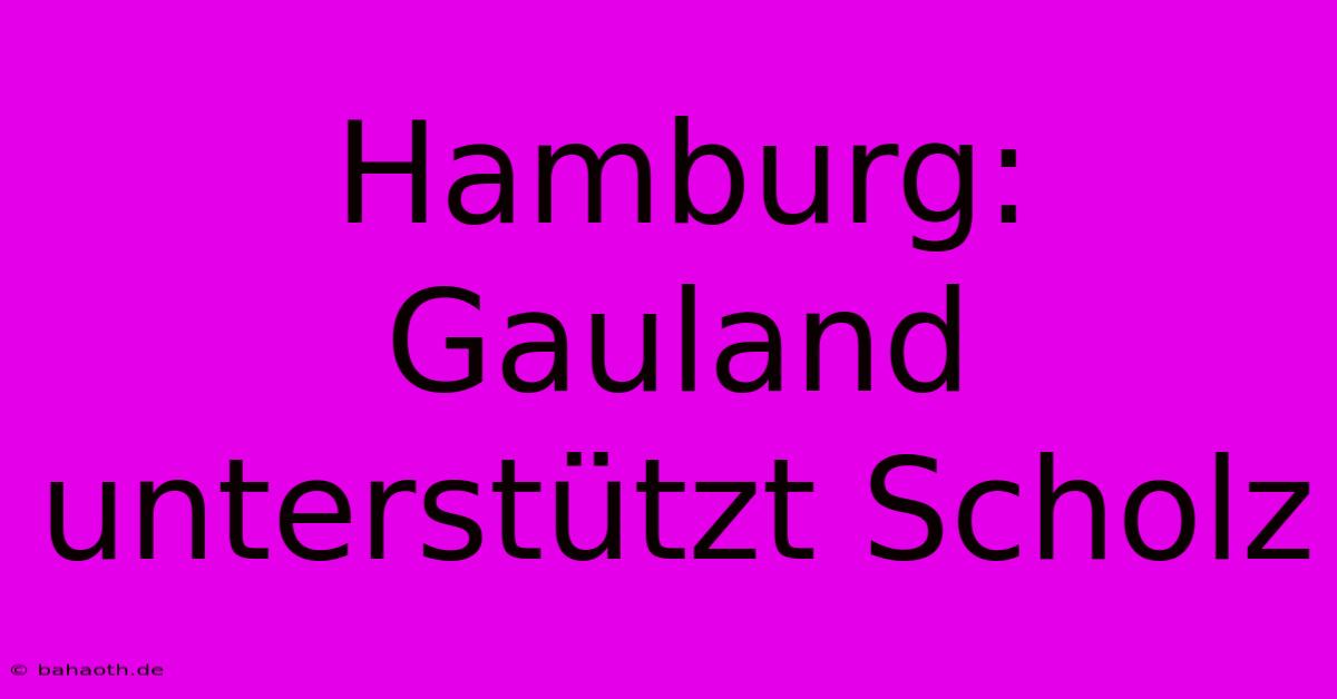 Hamburg: Gauland Unterstützt Scholz