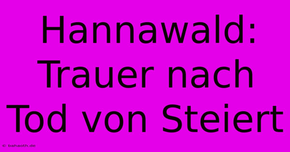 Hannawald: Trauer Nach Tod Von Steiert