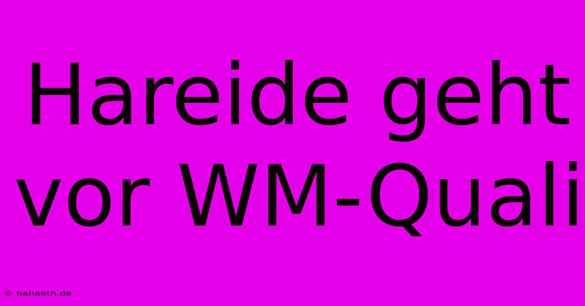 Hareide Geht Vor WM-Quali