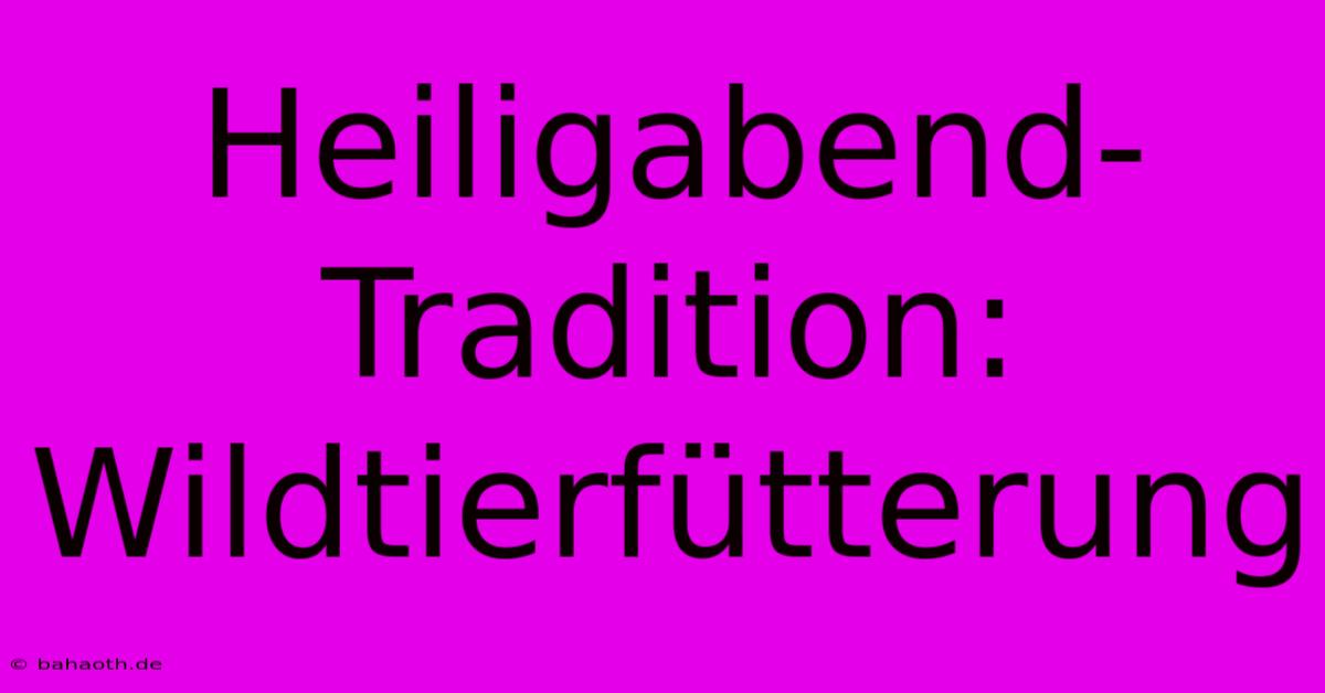 Heiligabend-Tradition: Wildtierfütterung