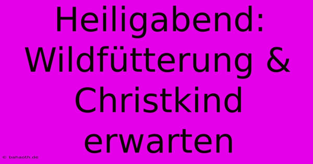 Heiligabend: Wildfütterung & Christkind Erwarten