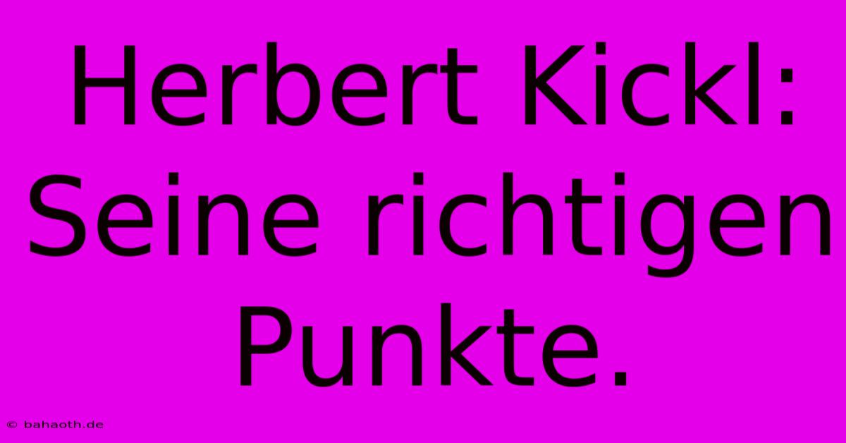 Herbert Kickl:  Seine Richtigen Punkte.