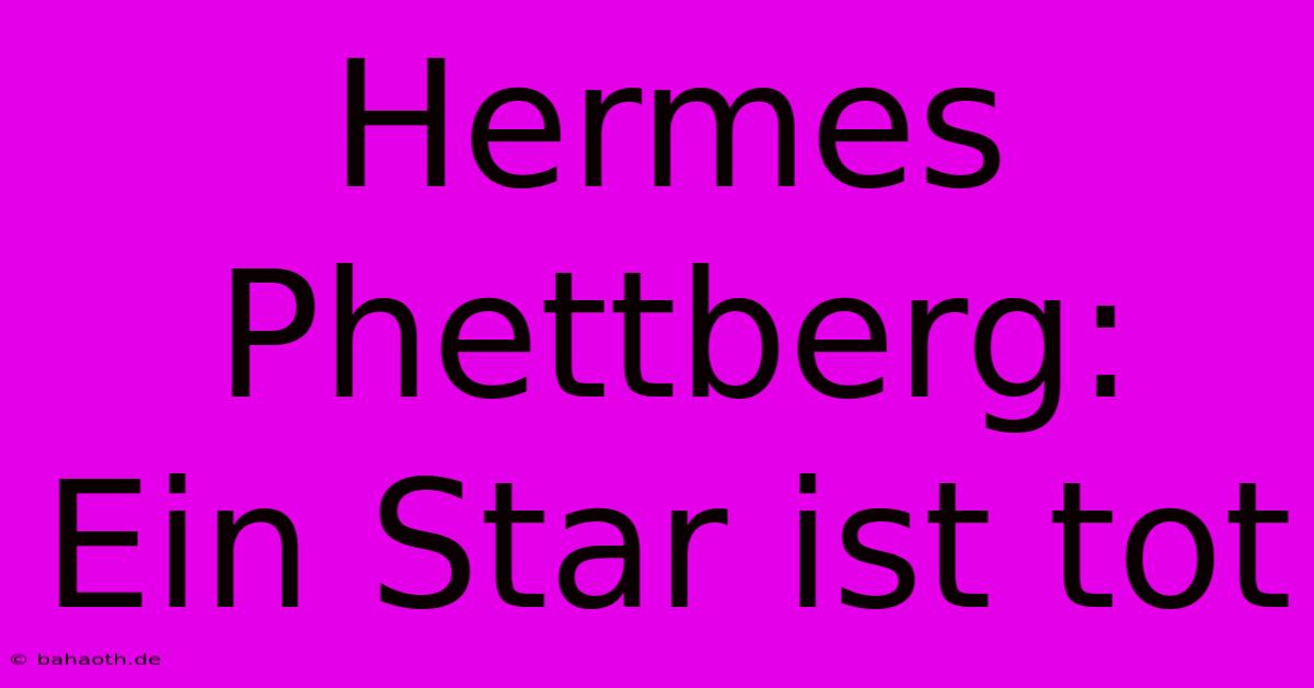 Hermes Phettberg:  Ein Star Ist Tot