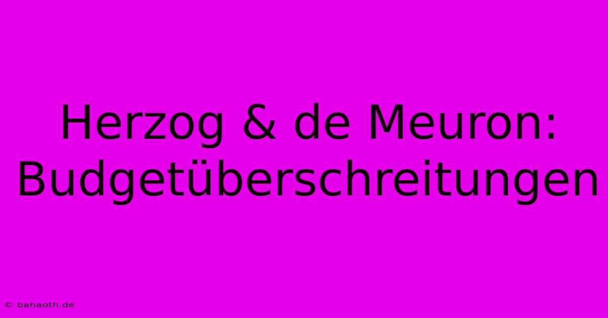 Herzog & De Meuron: Budgetüberschreitungen