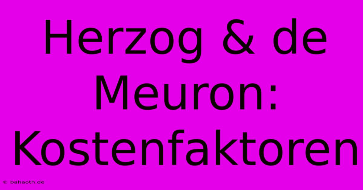 Herzog & De Meuron: Kostenfaktoren