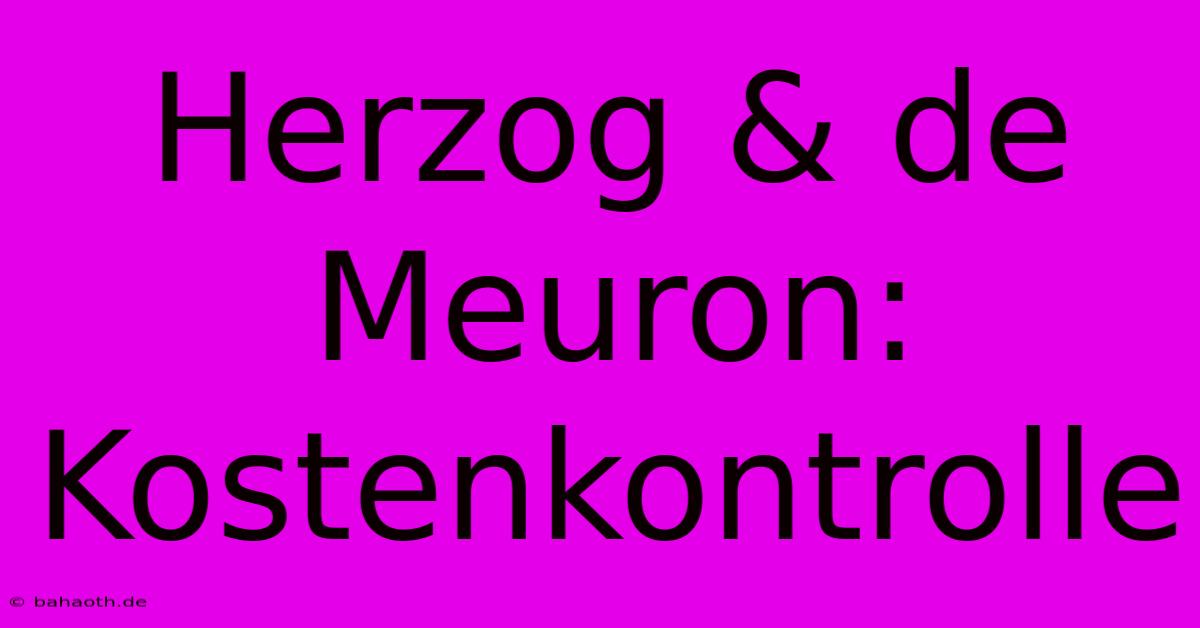 Herzog & De Meuron: Kostenkontrolle