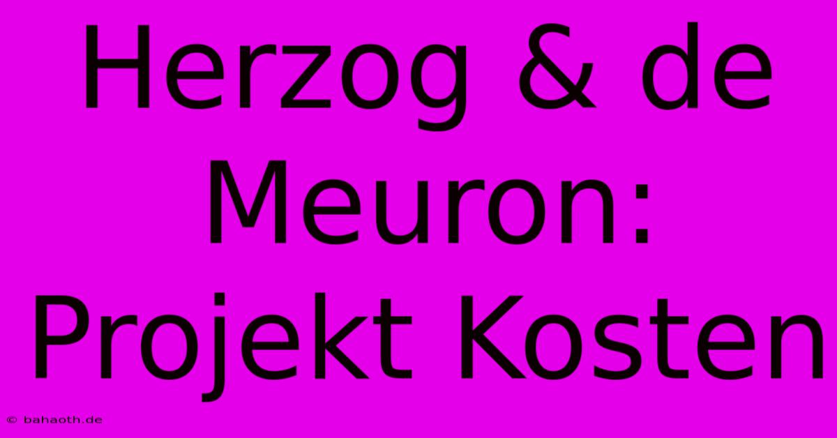 Herzog & De Meuron: Projekt Kosten