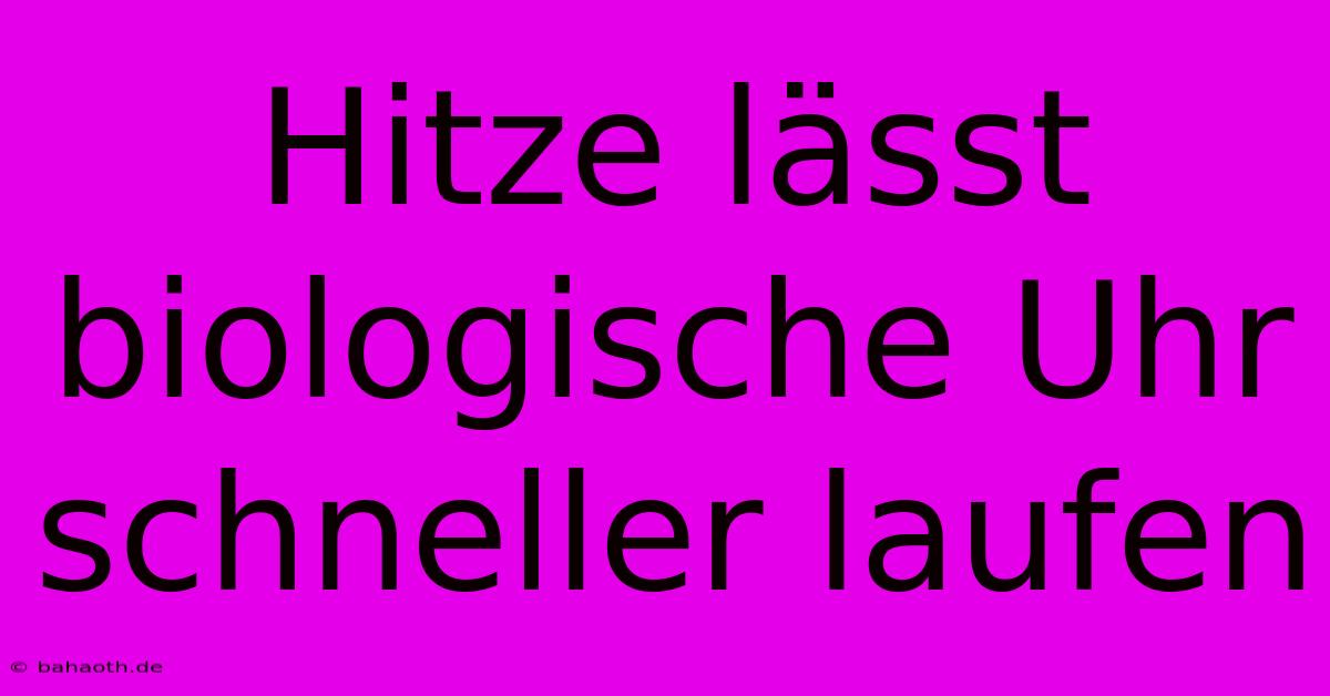 Hitze Lässt Biologische Uhr Schneller Laufen