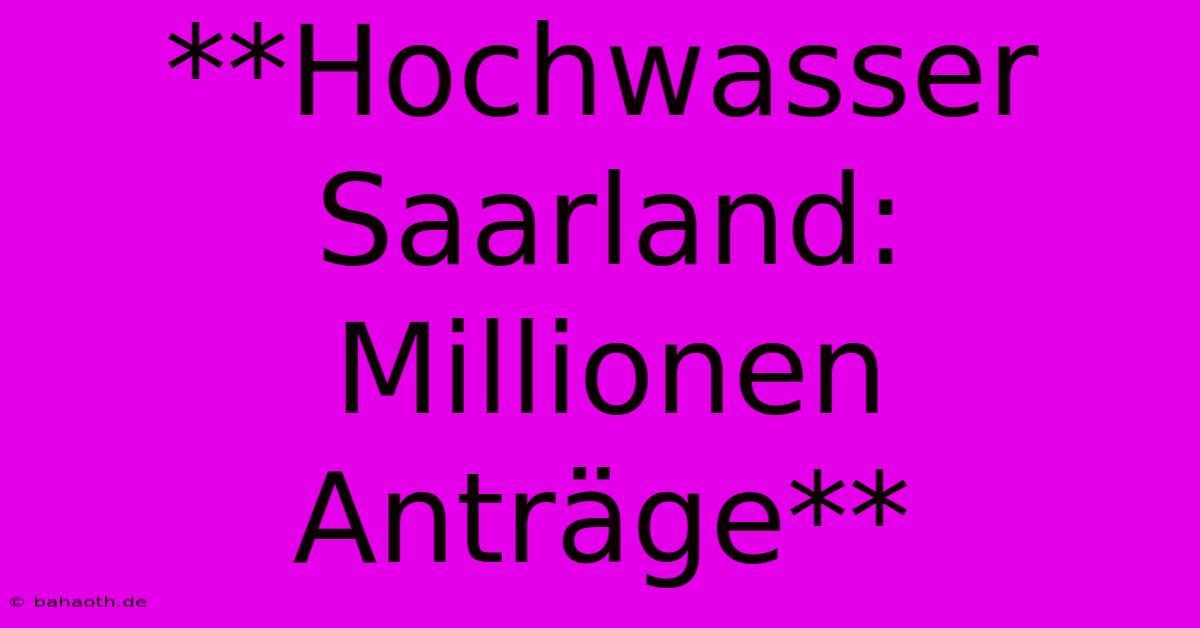 **Hochwasser Saarland: Millionen Anträge**