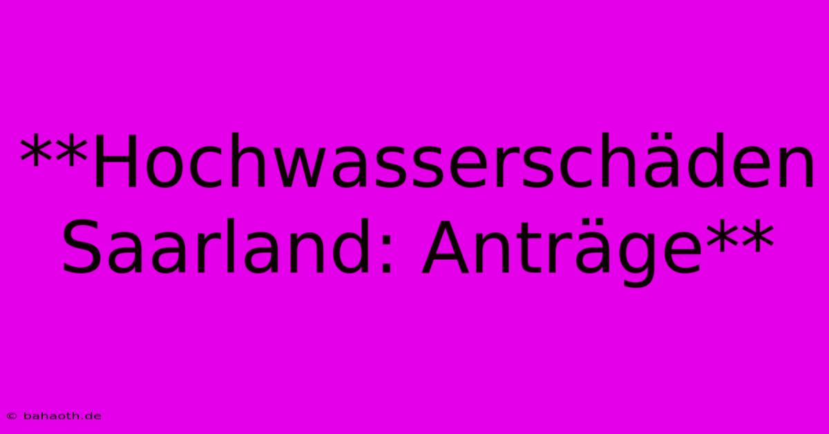 **Hochwasserschäden Saarland: Anträge**