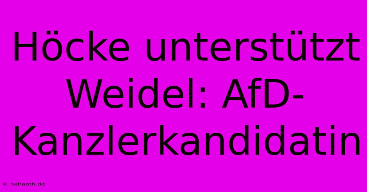 Höcke Unterstützt Weidel: AfD-Kanzlerkandidatin