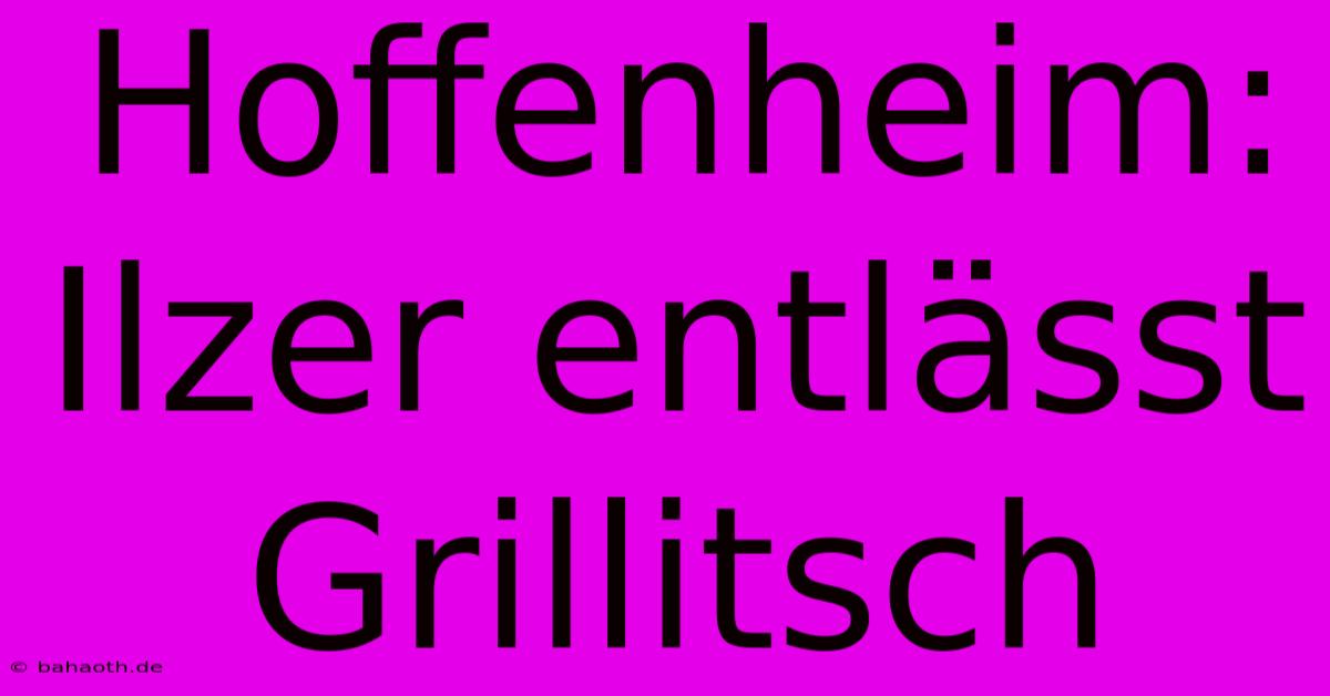 Hoffenheim: Ilzer Entlässt Grillitsch