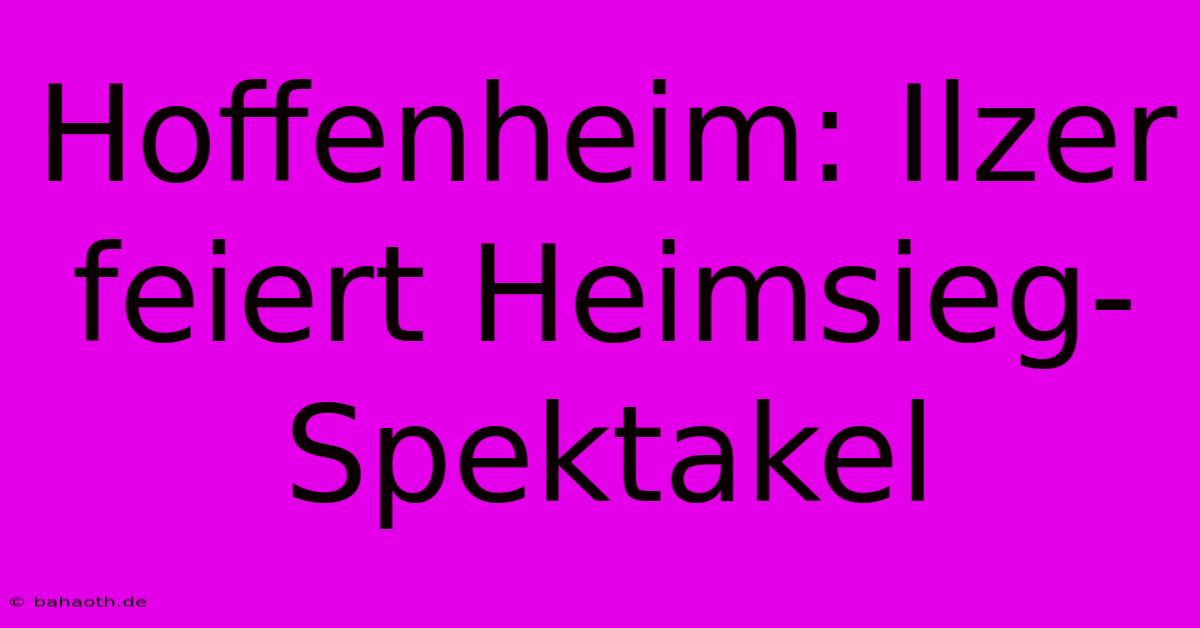 Hoffenheim: Ilzer Feiert Heimsieg-Spektakel