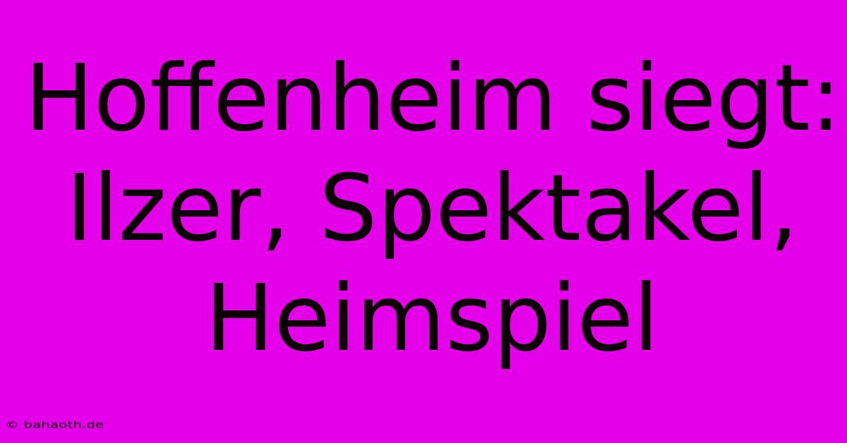 Hoffenheim Siegt: Ilzer, Spektakel, Heimspiel