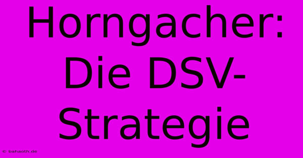 Horngacher: Die DSV-Strategie