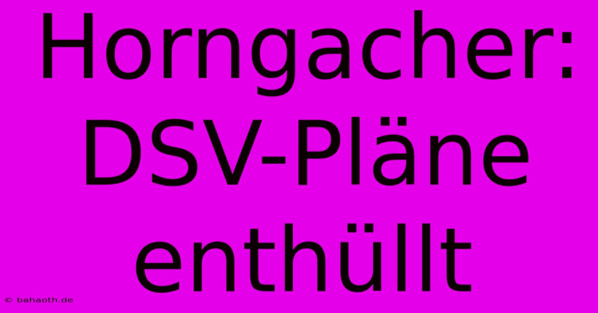 Horngacher: DSV-Pläne Enthüllt