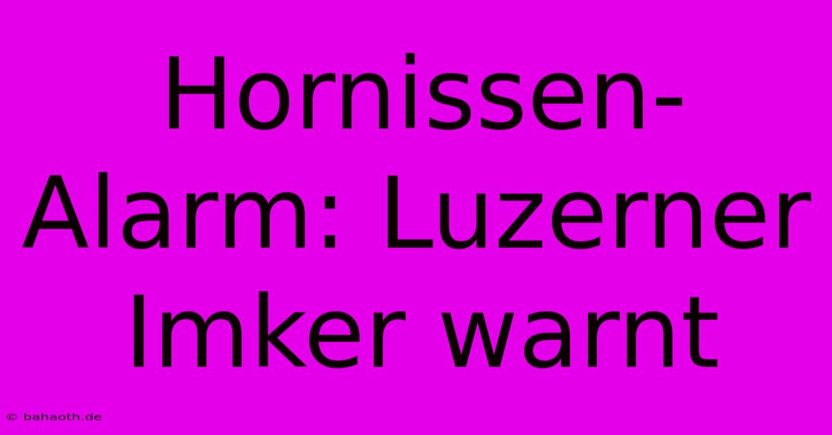 Hornissen-Alarm: Luzerner Imker Warnt