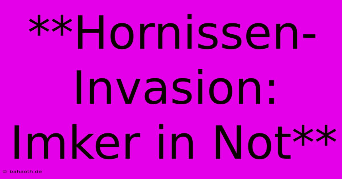 **Hornissen-Invasion: Imker In Not**