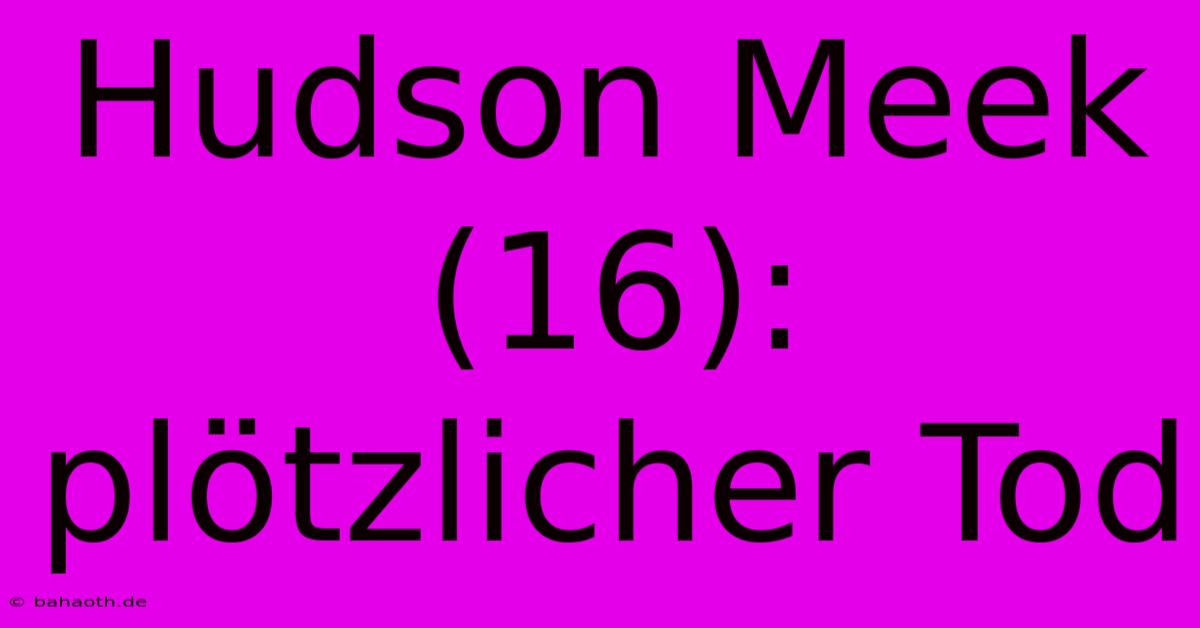 Hudson Meek (16): Plötzlicher Tod