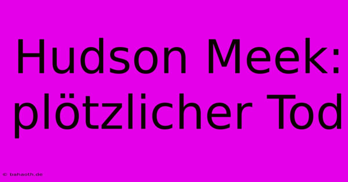 Hudson Meek: Plötzlicher Tod