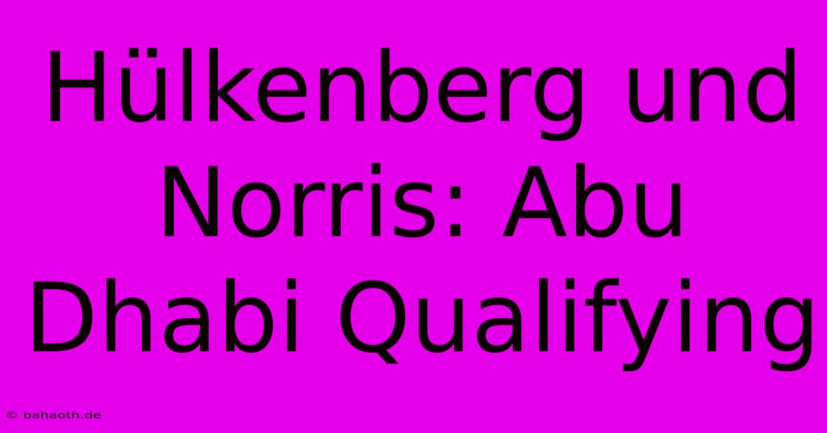 Hülkenberg Und Norris: Abu Dhabi Qualifying