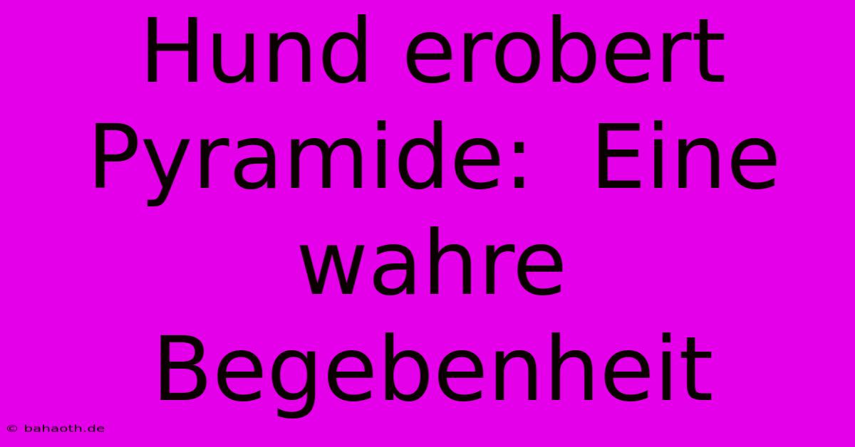 Hund Erobert Pyramide:  Eine Wahre Begebenheit