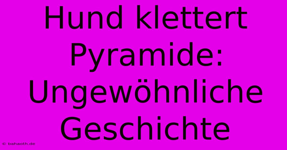 Hund Klettert Pyramide:  Ungewöhnliche Geschichte