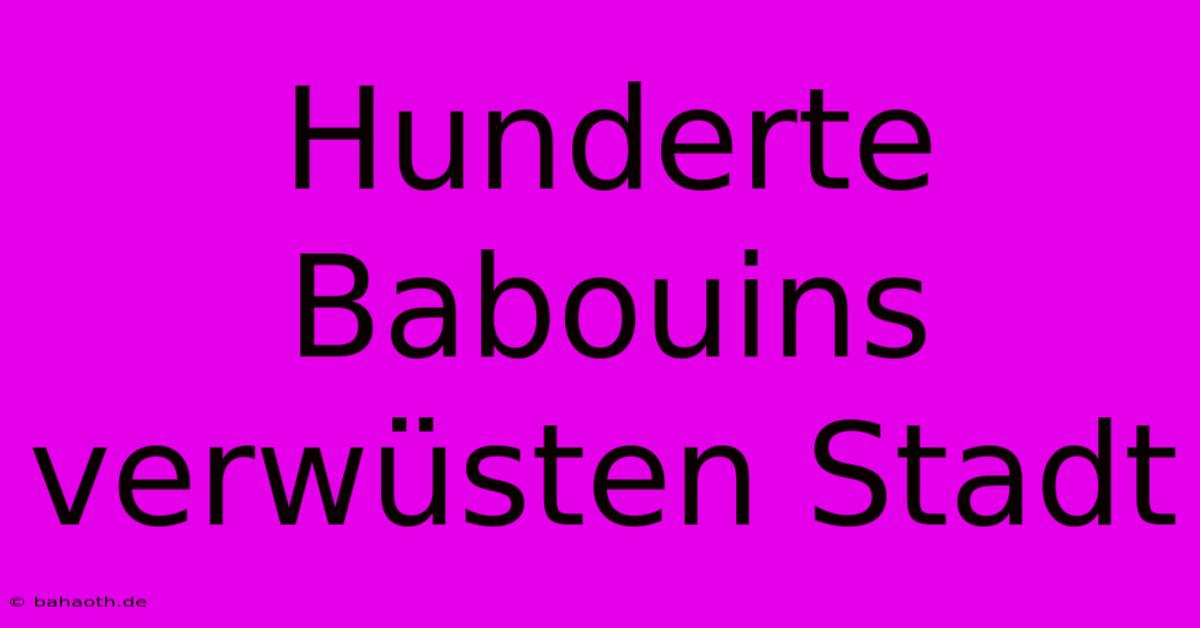 Hunderte Babouins Verwüsten Stadt